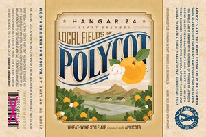 Hangar 24 Craft Brewery Polycot February 2013