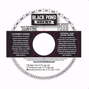Black Pond Brews LLC American Brown Ale August 2014
