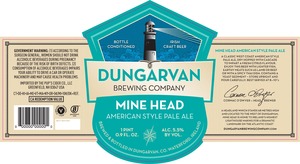 Dungarvan Mine Head