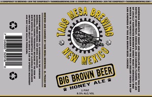 Taos Mesa Brewing Big Brown Beer