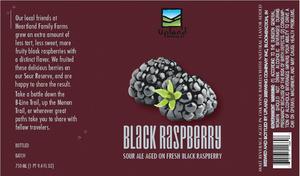 Upland Brewing Company Black Raspberry Lambic