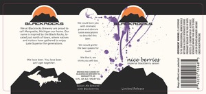 Blackrocks Brewery Nice Berries Blackberry Saison