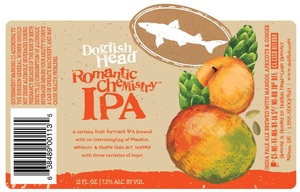 Dogfish Head Romantic Chemistry India Pale Ale