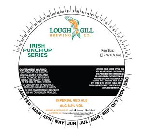 Lough Gill Brewing Imperial Red Ale February 2017