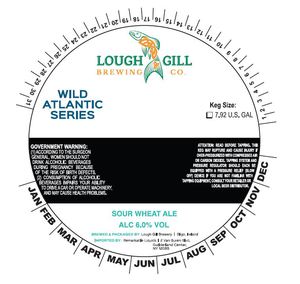 Lough Gill Brewing Sour Wheat February 2017
