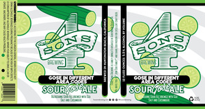 Four Sons Brewing Gose In Different Area Codes February 2017