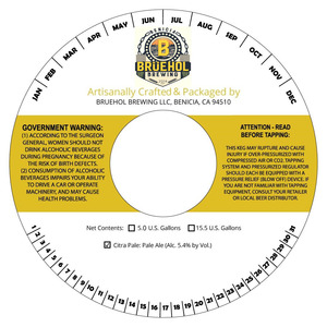 Bruehol Brewing Citra Pale March 2017