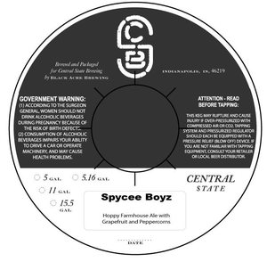 Central State Brewing Spycee Boyz