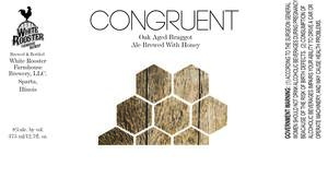 Congruent April 2017
