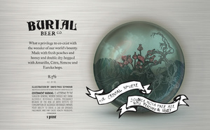 Burial Beer Co. The Crystal Sphere May 2017