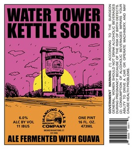 Hanging Hills Brewing Company Water Tower Kettle Sour August 2017