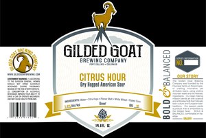 Gilded Goat Brewing Company Citrus Hour