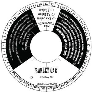 Burley Oak Citralaxy October 2017