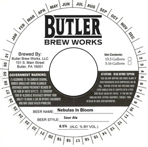 Butler Brew Works Nebulas In Bloom February 2020