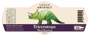Urban Artifact Triceratops