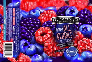Ellicottville Brewing Co. Oops All Berries