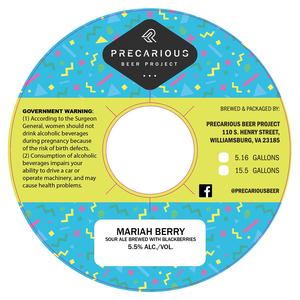 Precarious Beer Project Mariah Berry March 2022
