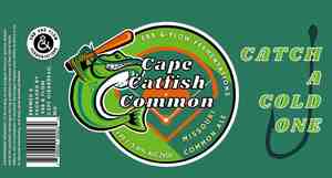 Ebb And Flow Cape Catfish Common