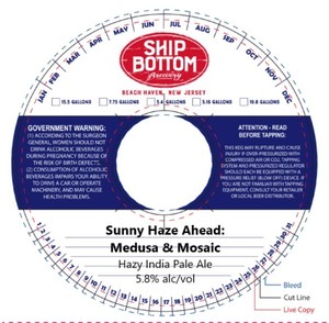 Ship Bottom Brewery Sunny Haze Ahead: Medusa & Mosaic April 2022