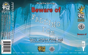 Beware Of Falling Ice August 2022