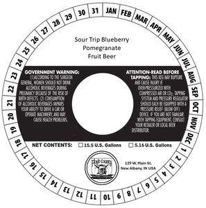 Floyd County Brewing Company Sour Trip Blueberry Pomegranate Fruit Beer