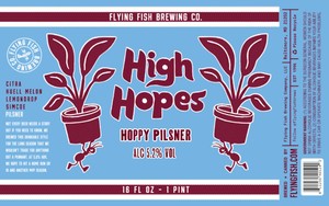 High Hopes Hoppy Pilsner 