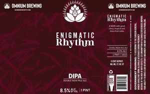 Enigmatic Rhythm Double India Pale Ale