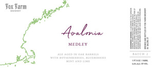 Avaloinia Medley Ale Aged In Oak Barrels With Boysenberries, Blueberries, Mint And Lime 