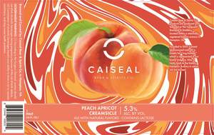 Caiseal Peach Apricot Creamsicle Ale May 2024