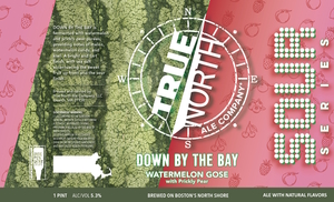 True North Ale Company Down By The Bay May 2024